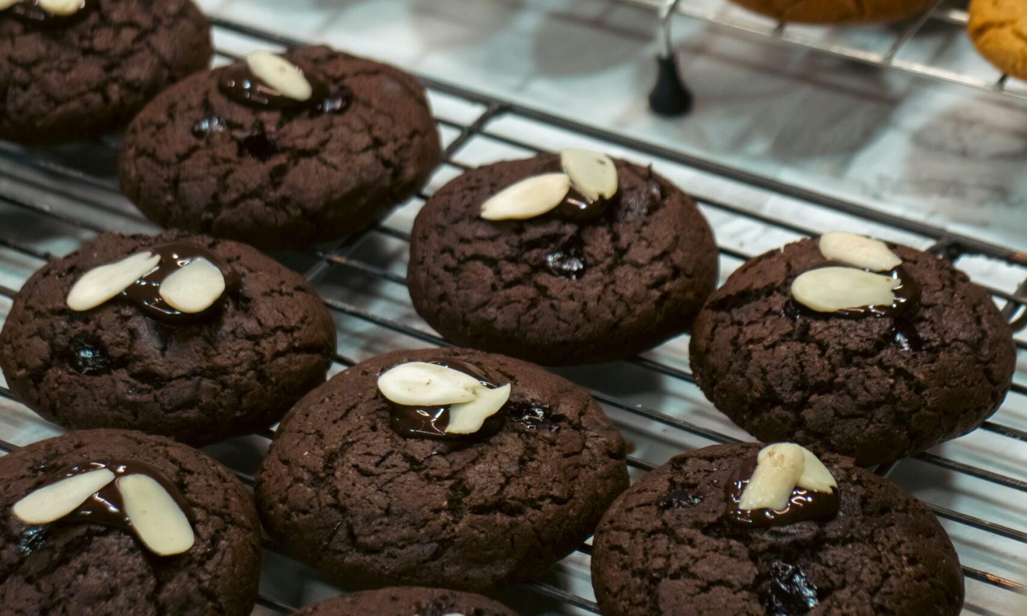 multi-chocolate-cookies-fresh-bakery-menu-about-nisha-bakers-chandigarh